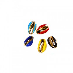 Coquillage Cauri avec Émail ~8X12Mm