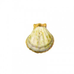 Colgante de Concha Natural Metalizada (35x40mm)