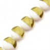 Bianco/Oliva