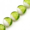 Bianco/Verde Chiaro