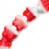 Bianco/Rosso