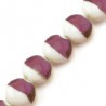 Blanc/Violet
