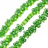 Vert/Blanc