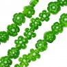 Vert/Blanc