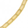 Champanize