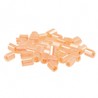 Transparent Somon