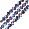 Purple/ Blue