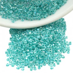 Tube de Perles Miyuki Delica 11/0 (8 g ~ 1600 Pièces) (Db79)