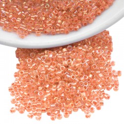 Tube de Perles Miyuki Delica 11/0 (8 g ~ 1600 Pièces) (Db68)