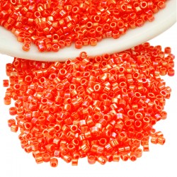 Tube de Perles Miyuki Delica 11/0 (8 g ~ 1600 Pièces) (Db161)