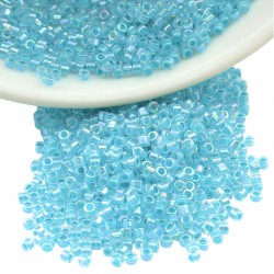 Tube de Perles Miyuki Delica 11/0 (8 g ~ 1600 Pièces) (Db2039)