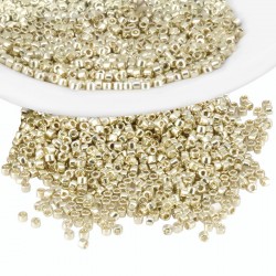 Tube de Perles Miyuki Delica 11/0 (8 g ~ 1600 Pièces) (Db1831)