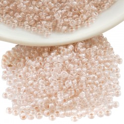Perles Miyuki Rocaille Rondes 11/0 (20 g ~ 2200 Pièces) (215)