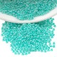 Perles Miyuki Rocaille Rondes 11/0 (20 g ~ 2200 Pièces) (536)