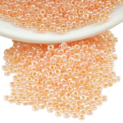 Perles Miyuki Rocaille Rondes 11/0 (20 g ~ 2200 Pièces) (543)