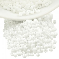 Perles Miyuki Rocaille Rondes 11/0 (20 g ~ 2 200 Pièces) (402Fr)