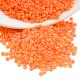 Perles Miyuki Rocaille Rondes 11/0 (20 g ~ 2200 Pièces) (405Fr)