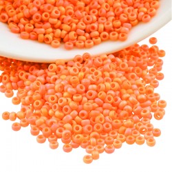 Miyuki Rocaille Bead Round 11/0 (20gr~2200pcs) (405FR)