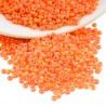 405FR - Orange givré
