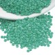 Perles Miyuki Rocaille Rondes 11/0 (20 g ~ 2 200 Pièces) (412Fr)