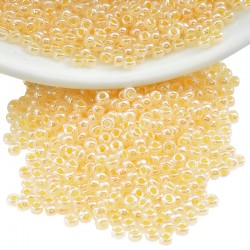 Perles Miyuki Rocaille Rondes 11/0 (20 g ~ 2200 Pièces) (516)