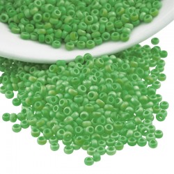 Perles Miyuki Rocaille Rondes 11/0 (20 g ~ 2200 Pièces) (411Fr)