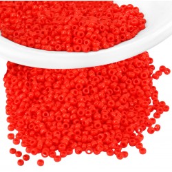 Perles Miyuki Rocaille Rondes 11/0 (20 g ~ 2200 Pièces) (407)