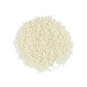 592 - Pearl Ivory