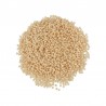 593 - Beige