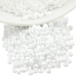 Perles Miyuki Rocaille Rondes 8/0 (20 g ~ 780 Pièces) (402F)