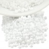 402F - White Frosted