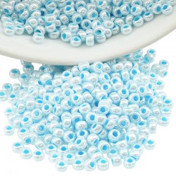 Perles Miyuki Rocaille Rondes 8/0 (20 g ~ 780 Pièces) (430)