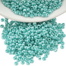 Perles Miyuki Rocaille Rondes 8/0 (20 g ~ 780 Pièces) (435)