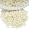 440 -Shinny Ivory