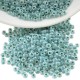 Miyuki Rocaille Bead Round 8/0 (20gr~780pcs) (521)