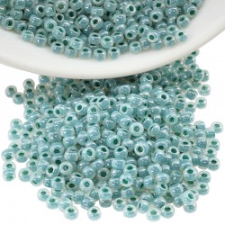 Perline Miyuki Rocailles 8/0 (20gr) (~780 pz)