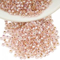 Perles Miyuki Rocaille Rondes 8/0 (20 g ~ 780 Pièces) (1023)