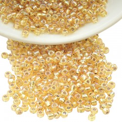 Miyuki Rocaille Bead Round 8/0 (20gr~780pcs) (251)