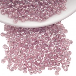 Perles Miyuki Rocaille Rondes 8/0 (20 g ~ 780 Pièces) (142L)
