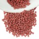 Perles Miyuki Rocaille Rondes 8/0 (20 g ~ 780 Pièces) (2315)