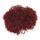 Miyuki Square Bead Cube 1.8mm (20gr~1790pcs) (304)