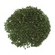 Miyuki Square Bead Cube 1.8mm (20gr~1790pcs) (306)