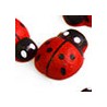 Red/Black