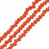 Corail