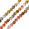 Saumon/ Vert clair/ Marron/ Multicolore
