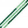 Verde/Verde Claro
