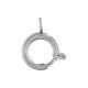 Stainless Steel 304 Lobster Clasp 8mm