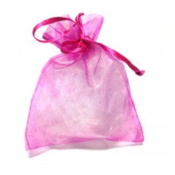 Sacchetto in Organza 13X17 cm
