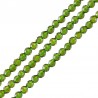 Oliva