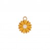 Plaqué Or 24 Carats / 0.12 µm / Jaune / Blanc
